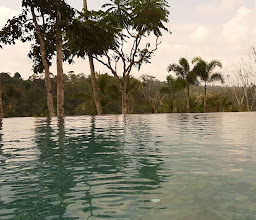 Pool Cafe & Bar Padma Resort Ubud photo