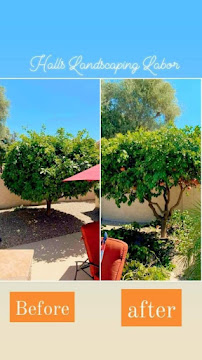 Halls Landscaping Labor +llc - Photo 8 - Car repair in , Phoenix