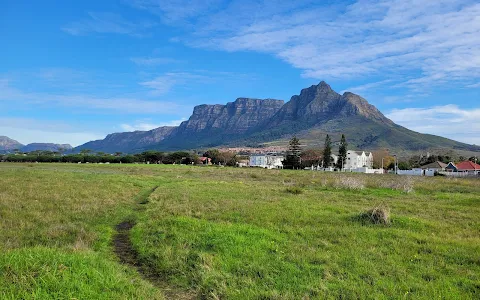 Rondebosch Common Conservation Area image