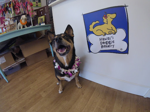 Hawaiʻi Doggie Bakery