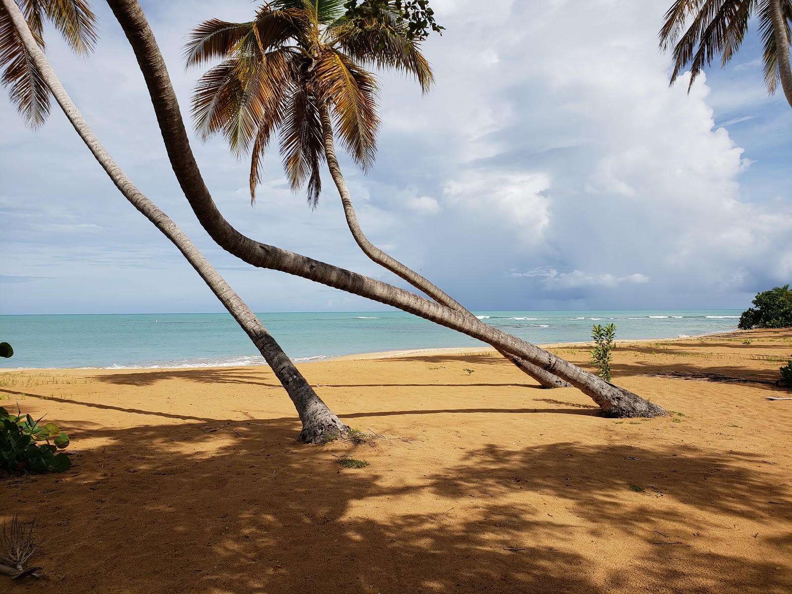 Foto di Playa Cabeza Chiquita zona selvaggia