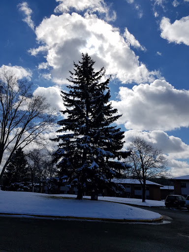 Community Center «Eagle Heights Community Center», reviews and photos, 611 Eagle Heights Dr, Madison, WI 53705, USA