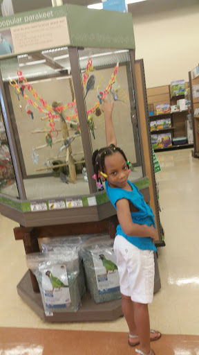 Pet Supply Store «Petco Animal Supplies», reviews and photos, 8404 Eager Rd b, Brentwood, MO 63144, USA