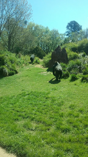 Zoo «Riverbanks Zoo and Garden», reviews and photos, 500 Wildlife Pkwy, Columbia, SC 29210, USA