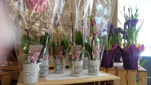 Shopping Mall «Shop City Shopping Center», reviews and photos, 105 Shop City Plaza, Syracuse, NY 13206, USA