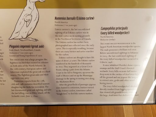 Museum «Beneski Museum of Natural History», reviews and photos, 11 Barrett Hill Rd, Amherst, MA 01002, USA