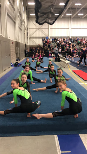 Gymnastics Center «Livonia Ultimate Gymnasticz», reviews and photos, 13300 Levan Rd, Livonia, MI 48150, USA