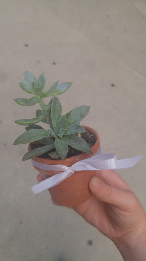 Florist «Rosies & Posies Downtown Florist», reviews and photos, 98 Paseo De San Antonio, San Jose, CA 95113, USA