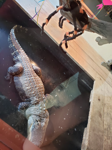 Pet Store «Night Stalkers Pet Emporium», reviews and photos, 5008 Madison Ave, Anderson, IN 46013, USA