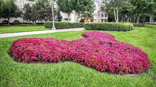 Tourist Attraction «Disney Springs», reviews and photos, 1486 Buena Vista Dr, Orlando, FL 32830, USA