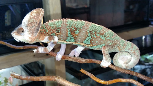 Tropical Fish Store «Fish Bowl & More», reviews and photos, 1673 N Expy, Griffin, GA 30223, USA