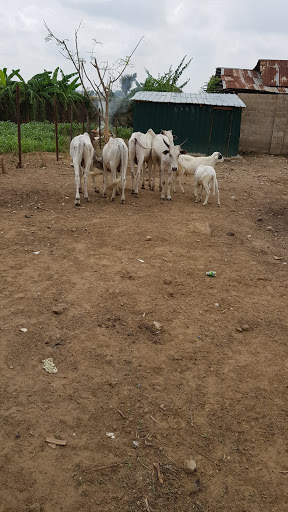 Minna Golf Club, Minna, Nigeria, Beach Resort, state Niger