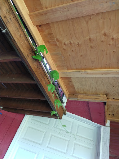 Winery «Hanson Vineyards», reviews and photos, 34948 S Barlow Rd, Woodburn, OR 97071, USA