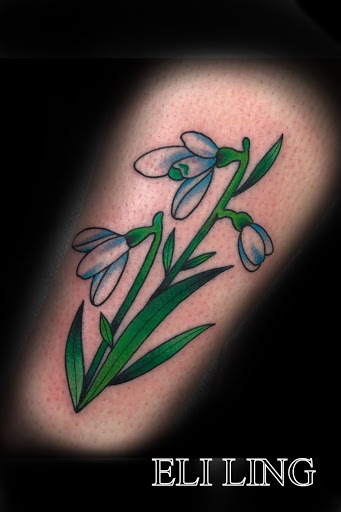 Explore great forearm tattoo ideas, creative tattoo ideas in Delaware, available at Rose & Web Tattoo