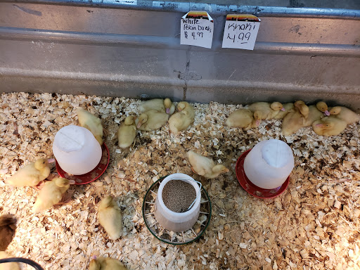 Department Store «Rural King», reviews and photos, 1203 Front Ave SW, New Philadelphia, OH 44663, USA