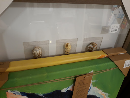 Department Store «HomeGoods», reviews and photos, 2100 Snelling Ave, Roseville, MN 55113, USA