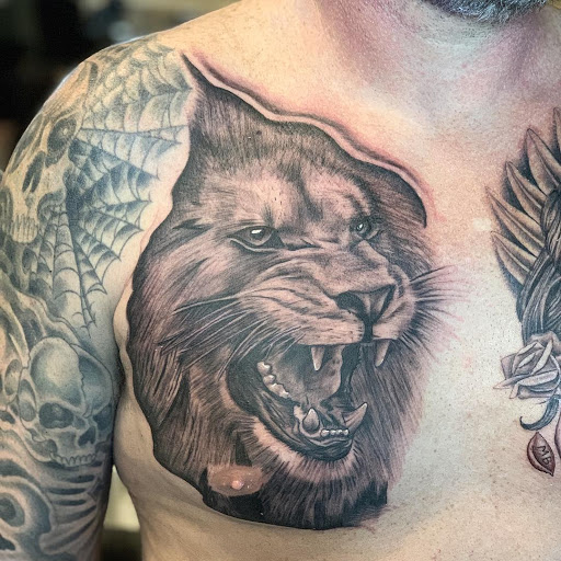 Explore cerberus tattoo ideas, creative tattoo ideas in Matthews, available at Divine Arts Tattoo Company