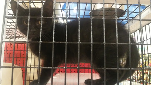 Pet Supply Store «Pet Supermarket», reviews and photos, 2924 13th St, St Cloud, FL 34769, USA