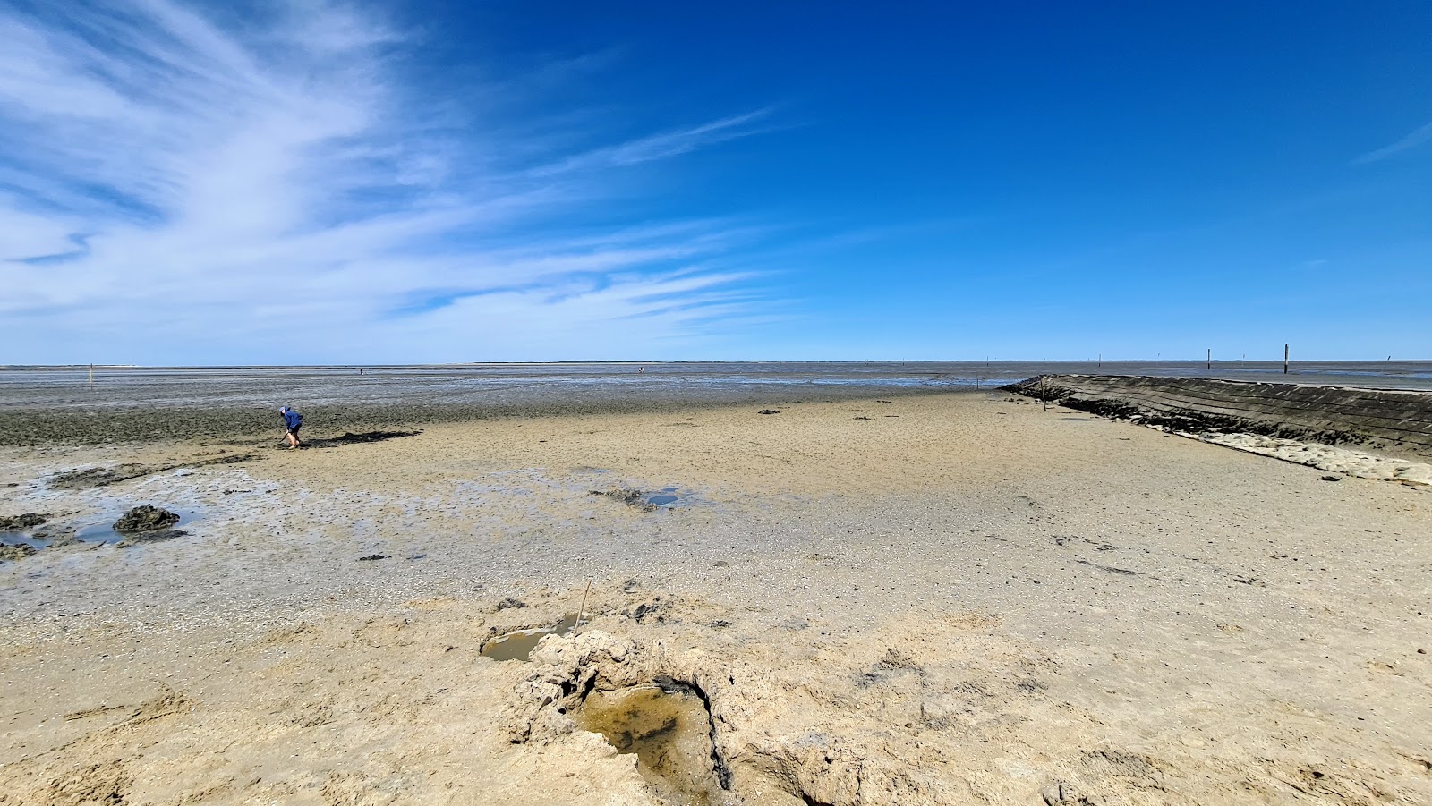 Foto de Playa de Dornumersiel con muy limpio nivel de limpieza