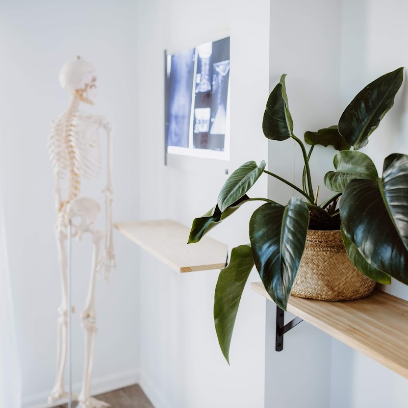Chiro + Co. | Pacific Pines | Chiropractic, Dry Needling, Massage Therapy, Osteopathy, Podiatry