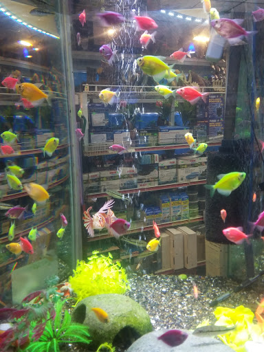 Pet Store «Fish-N-Pets Unlimited», reviews and photos, 11710 Bissonnet St, Houston, TX 77099, USA