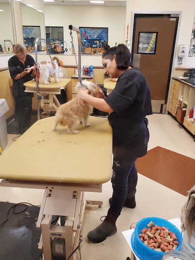 Pet Supply Store «PetSmart», reviews and photos, 4005 Airport Fwy, Irving, TX 75062, USA