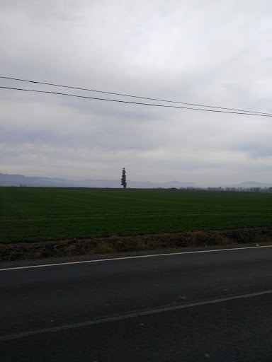 Golf Course «Sunset Grove Golf Course», reviews and photos, 41615 NW Osterman Rd, Forest Grove, OR 97116, USA