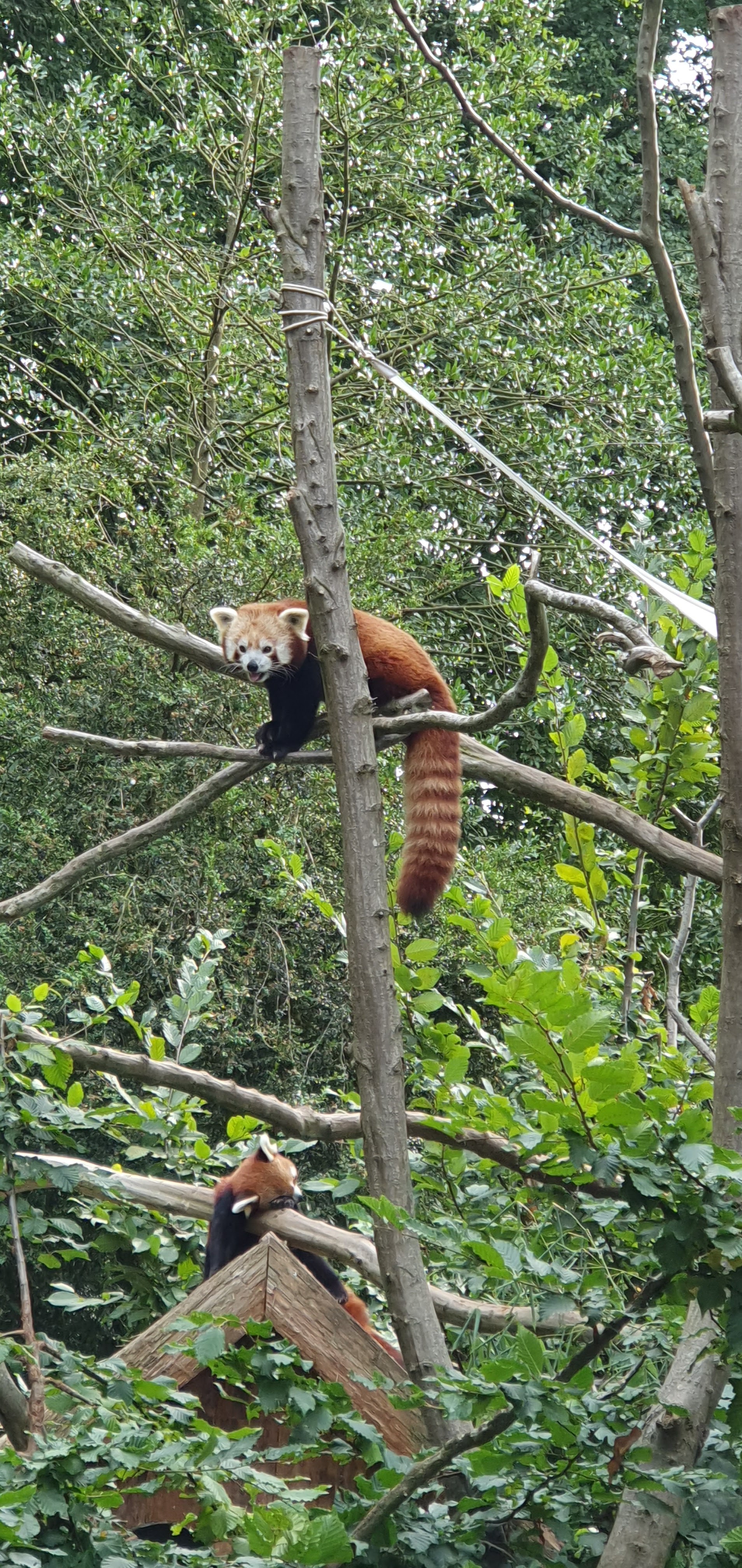 Photo n° 1 de l'avis de tracy. fait le 20/08/2022 à 13:44