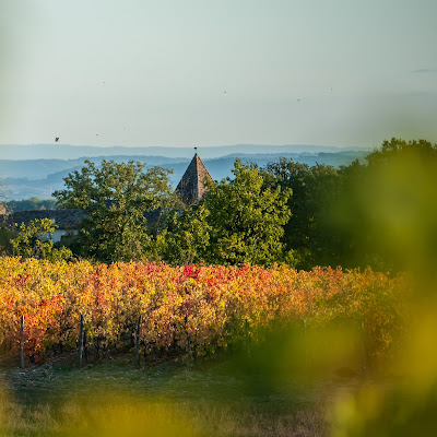 Domaine de Cantalauze à Cahuzac-sur-Vère