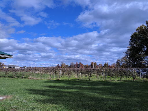 Winery «Matus Winery», reviews and photos, 15674 Gore Orphanage Rd, Wakeman, OH 44889, USA