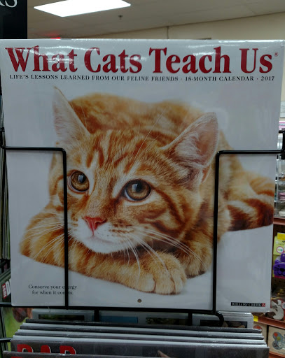 Pet Supply Store «Pet Supermarket», reviews and photos, 11160 Panama City Beach Pkwy #402, Panama City Beach, FL 32407, USA