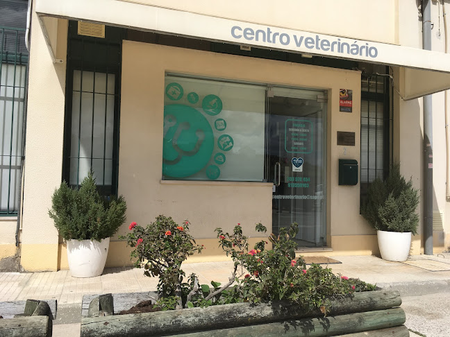 Centro Veterinário de Arruda dos Vinhos - Veterinário