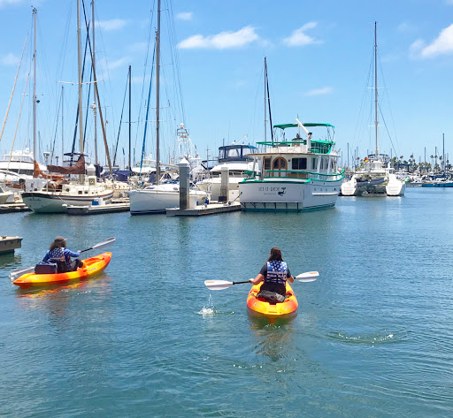 Disco’s Paddle Surf - Kayak and Paddle Board Rentals and Sales
