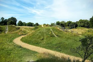 Danebury Iron Age Hillfort image