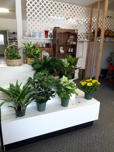 Florist «Lanierland Florist», reviews and photos, 301 Canton Rd, Cumming, GA 30040, USA