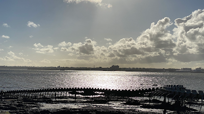 like immobilier à Saint-Brevin-les-Pins