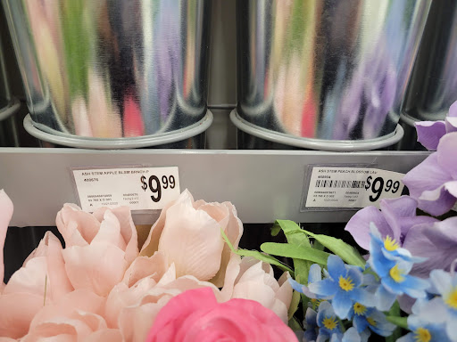 Craft Store «Michaels», reviews and photos, 1700 Deming Way #120, Middleton, WI 53562, USA