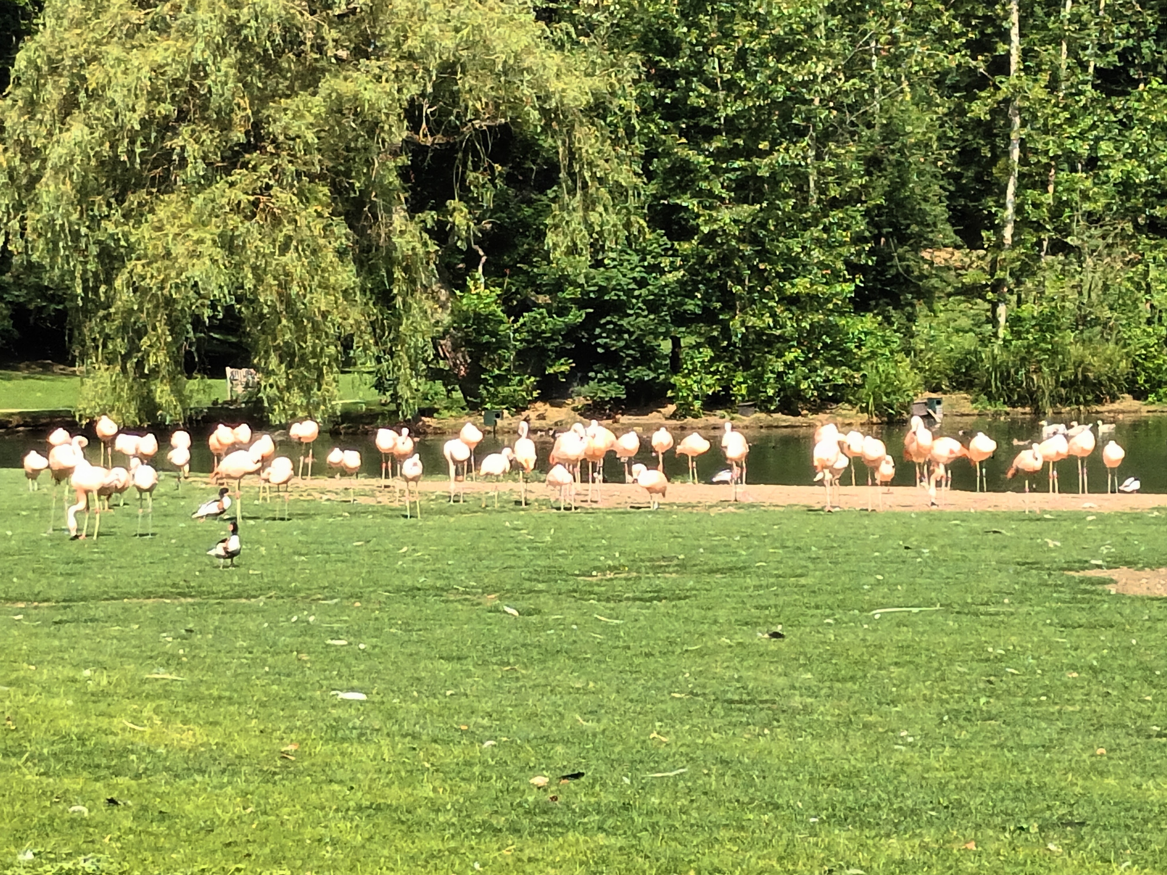 Photo n° 6 de l'avis de daniel.a fait le 28/06/2023 à 18:17