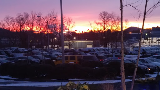 Pet Store «12th & Spring Pet Shop», reviews and photos, 1000 N 12th St, Reading, PA 19604, USA