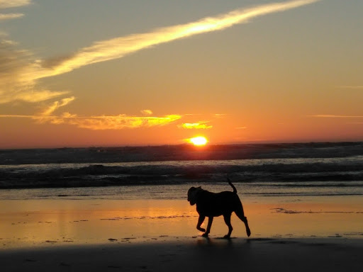 Used Car Dealer «Happy Motors Inc», reviews and photos, 134 NW 15th St, Newport, OR 97365, USA