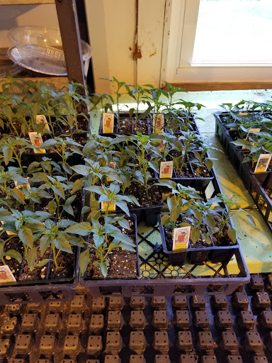 Florist «Lyndhurst Florist», reviews and photos, 5268 Mayfield Rd, Lyndhurst, OH 44124, USA