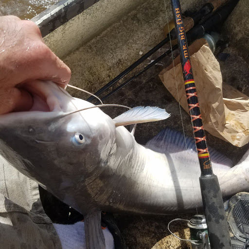 Sporting Goods Store «Irby Street Sporting Goods», reviews and photos, 1333 S Irby St # A, Florence, SC 29505, USA