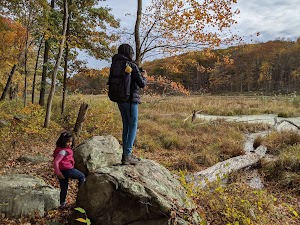Bennetts Pond State Park - photo 29