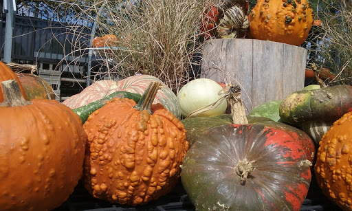 Hardware Store «Ace Hardware & Garden Center», reviews and photos, 20277 Wirt St, Elkhorn, NE 68022, USA