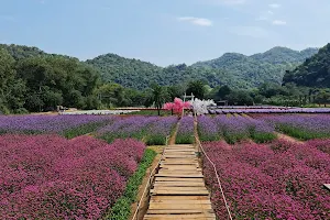 Hokkaido Flower Park Khaoyai image