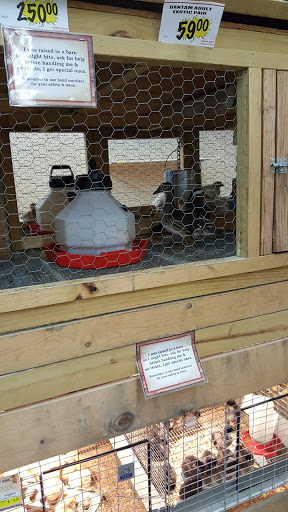 Hardware Store «Buchheit of Sparta», reviews and photos, 1817 N Market St, Sparta, IL 62286, USA