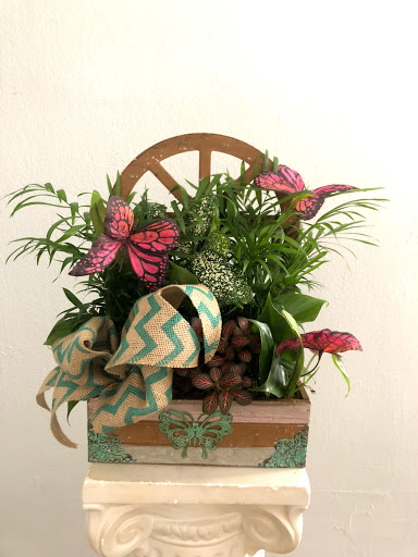 Florist «Open Air Designs - Florist | Wedding Planning | Gifts», reviews and photos, 607 N Myrtle Ave, Clearwater, FL 33755, USA