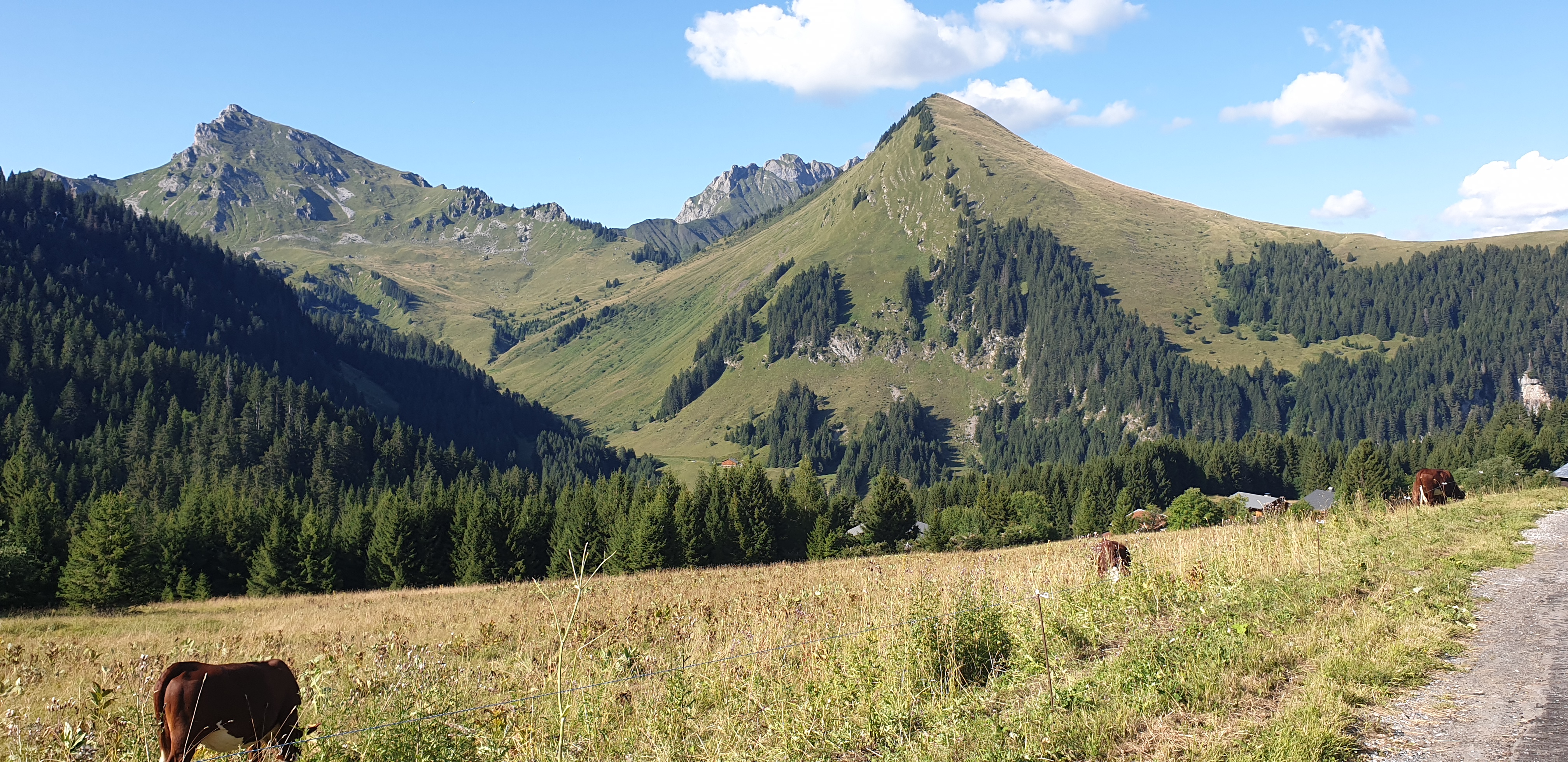 Photo n° 1 de l'avis de Randotesavoie. fait le 14/08/2019 à 20:18