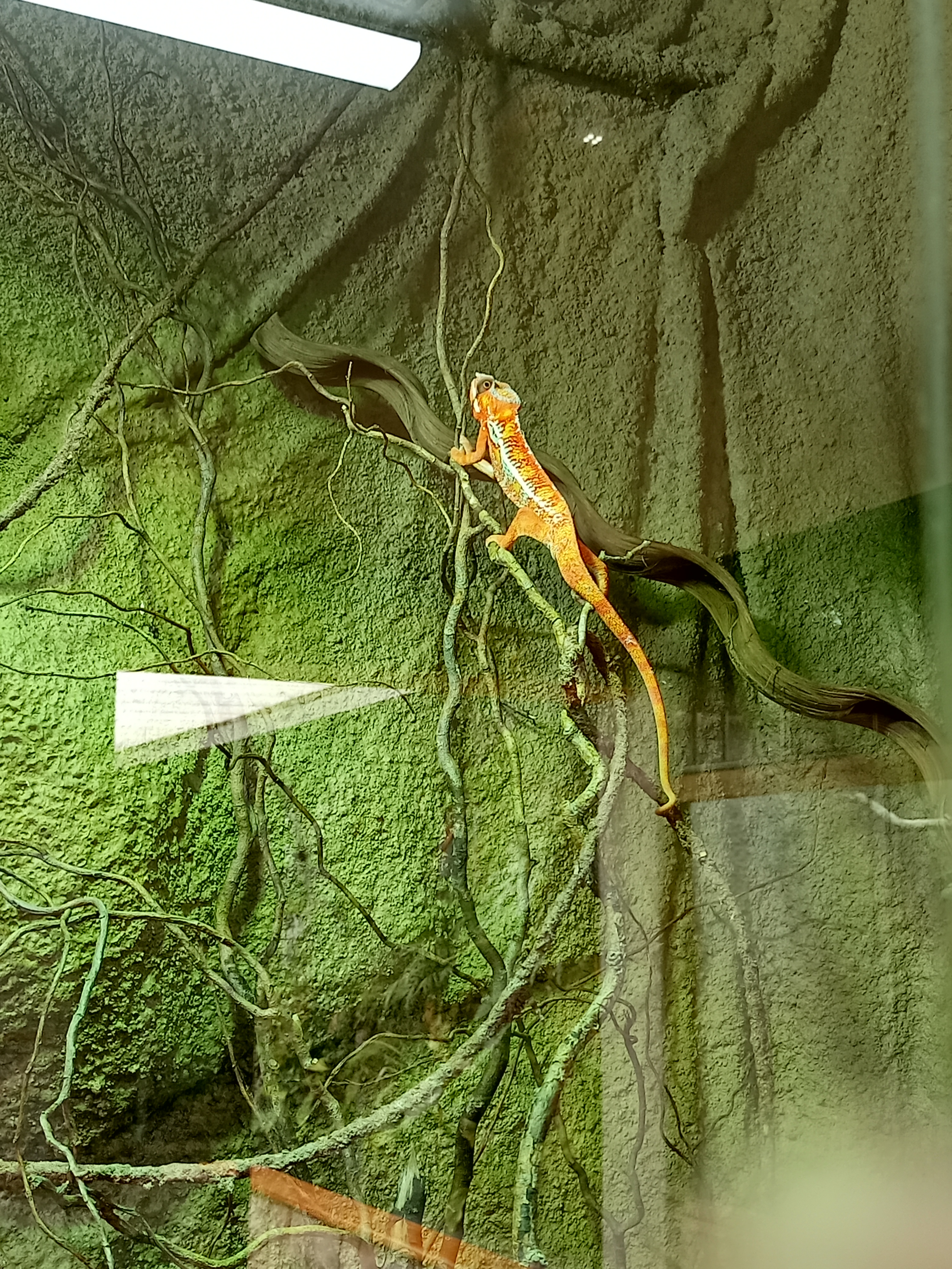 Photo n° 3 de l'avis de Céline. fait le 19/10/2022 à 19:46