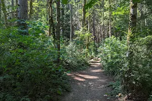 Banner Forest Heritage Park image